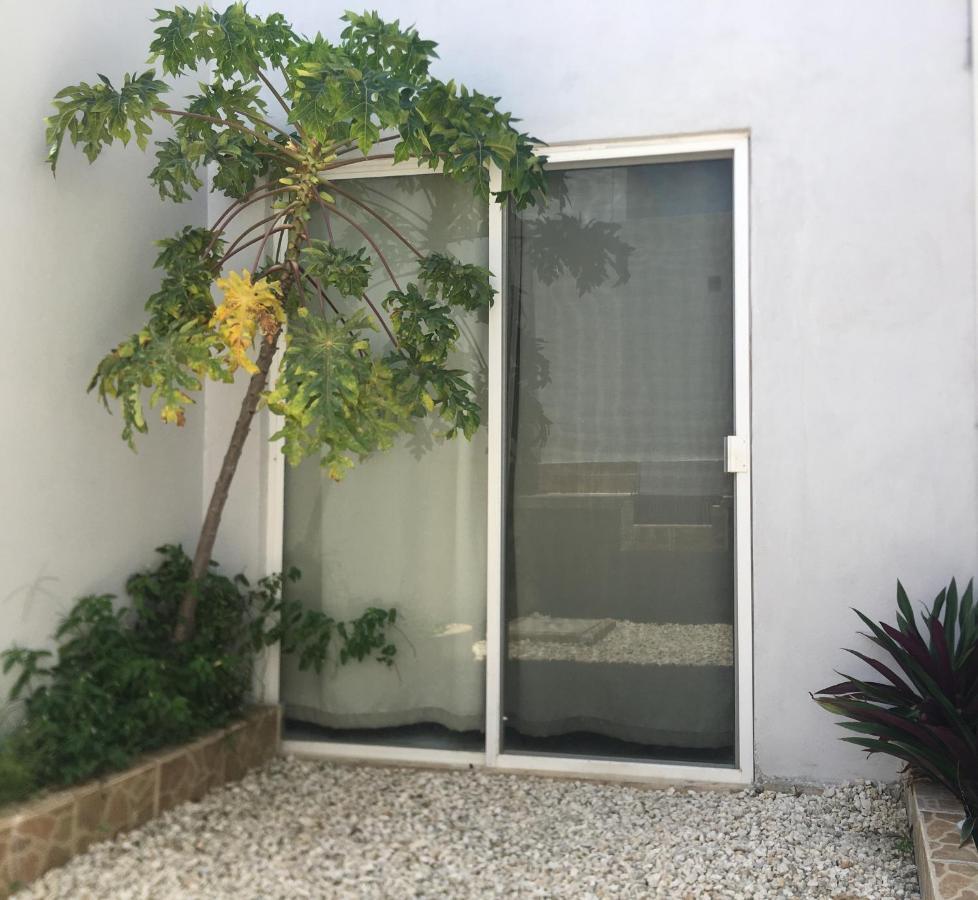 Green Lofts Cancun Ngoại thất bức ảnh